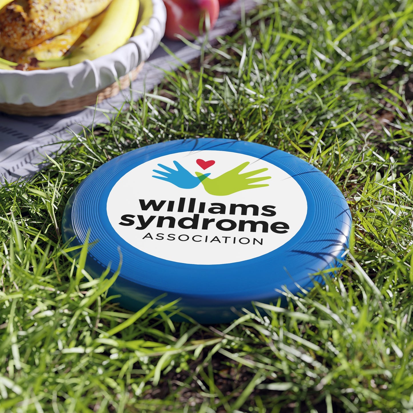 WSA Logo Wham-O Frisbee