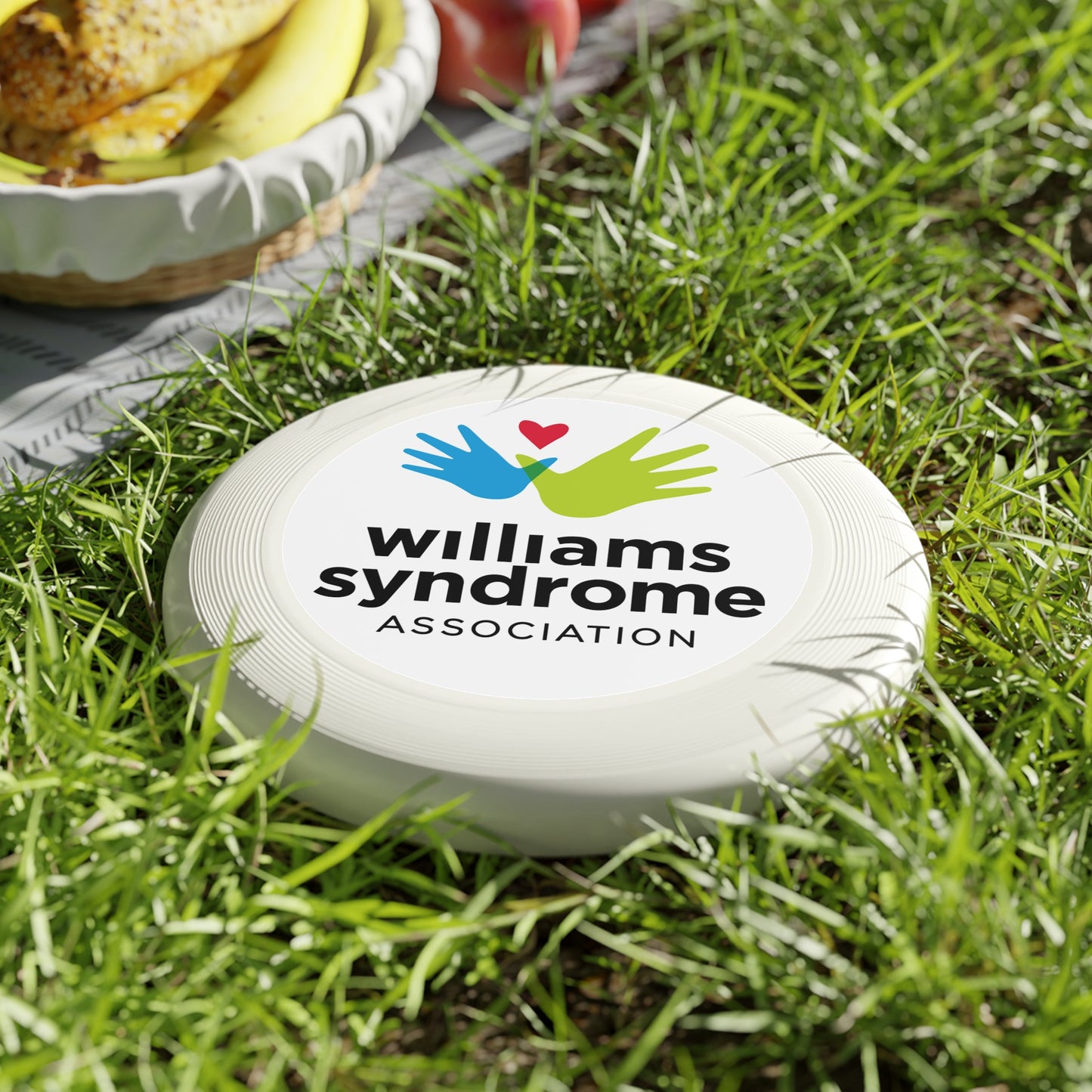 WSA Logo Wham-O Frisbee