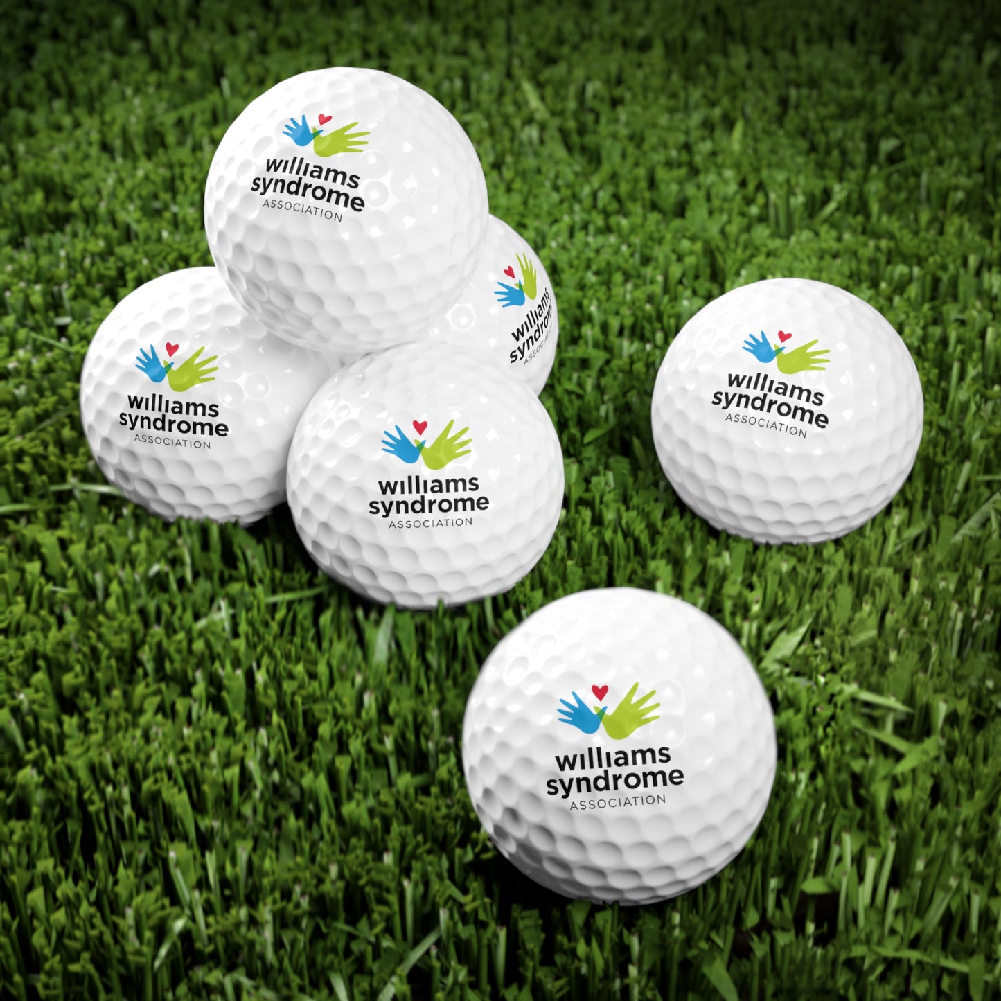 WSA Logo Golf Balls - 6pcs