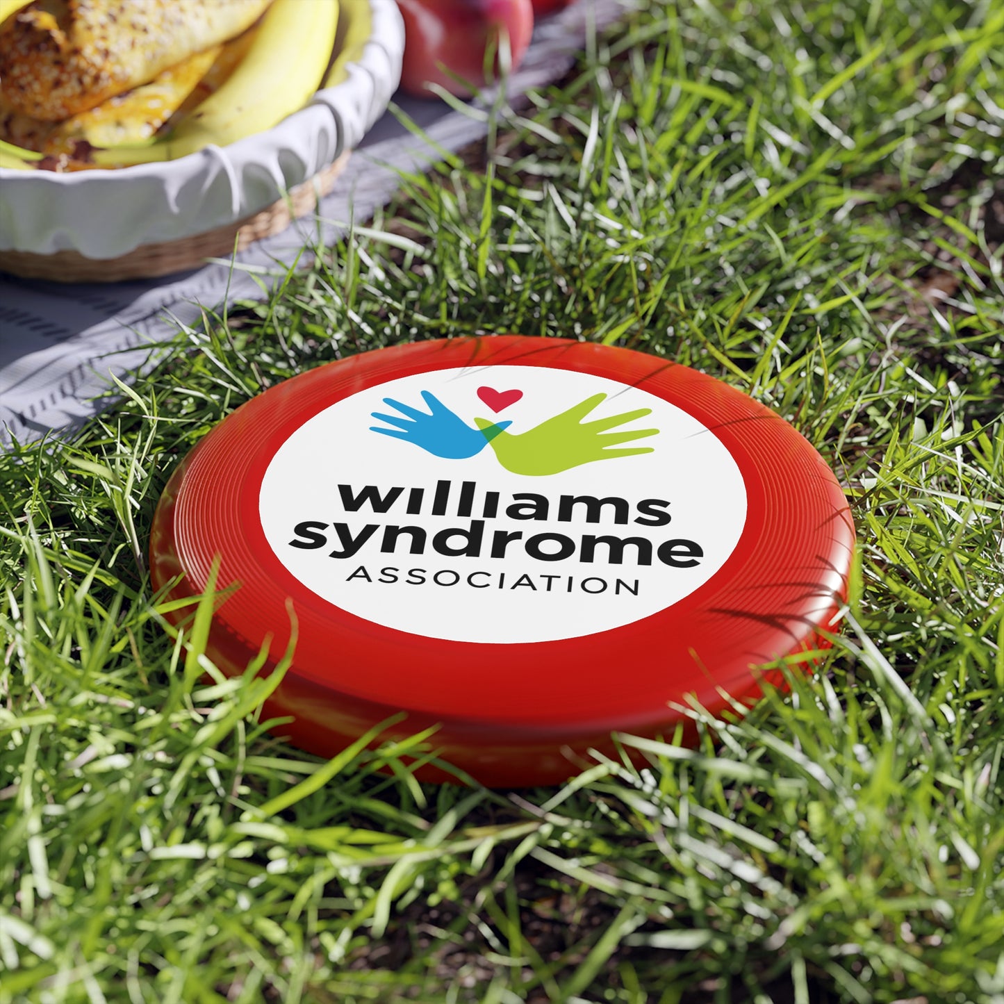 WSA Logo Wham-O Frisbee