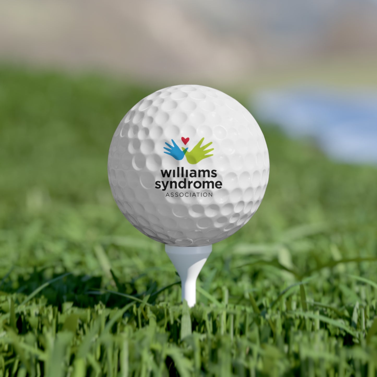 WSA Logo Golf Balls - 6pcs