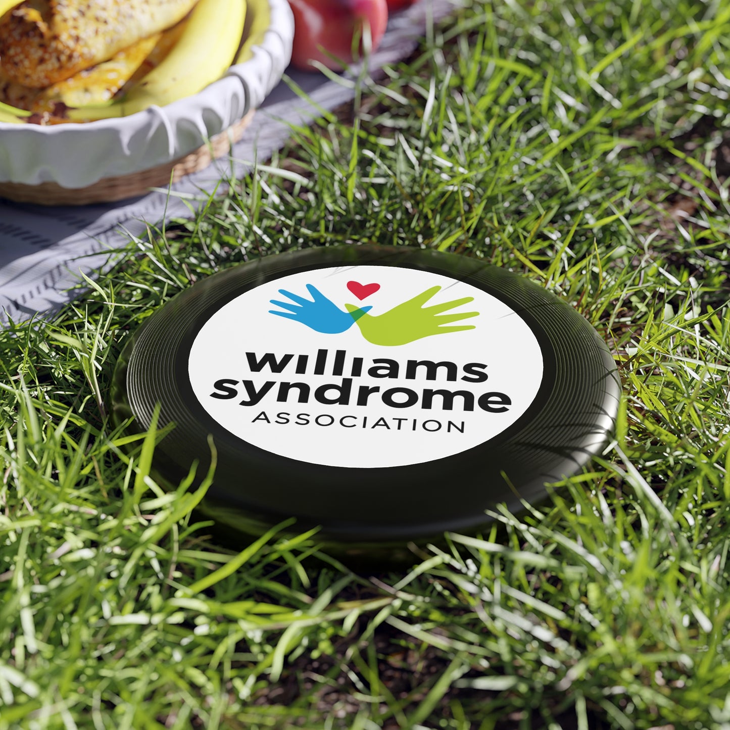 WSA Logo Wham-O Frisbee