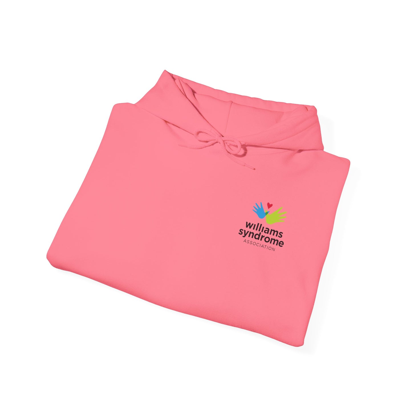 2026 Walk for Williams Unisex Hooded Sweatshirt